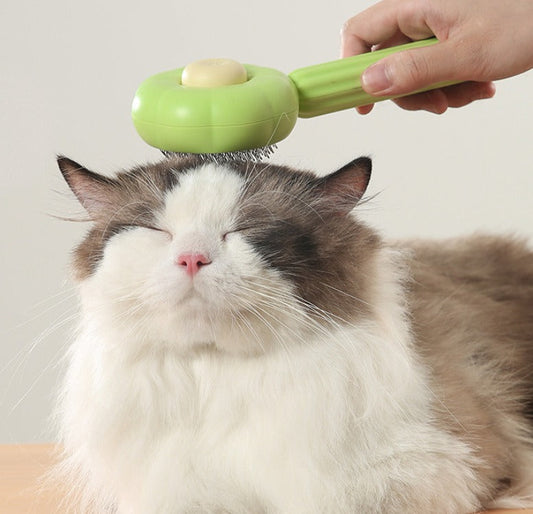 Removedor de pelos Pump Brush