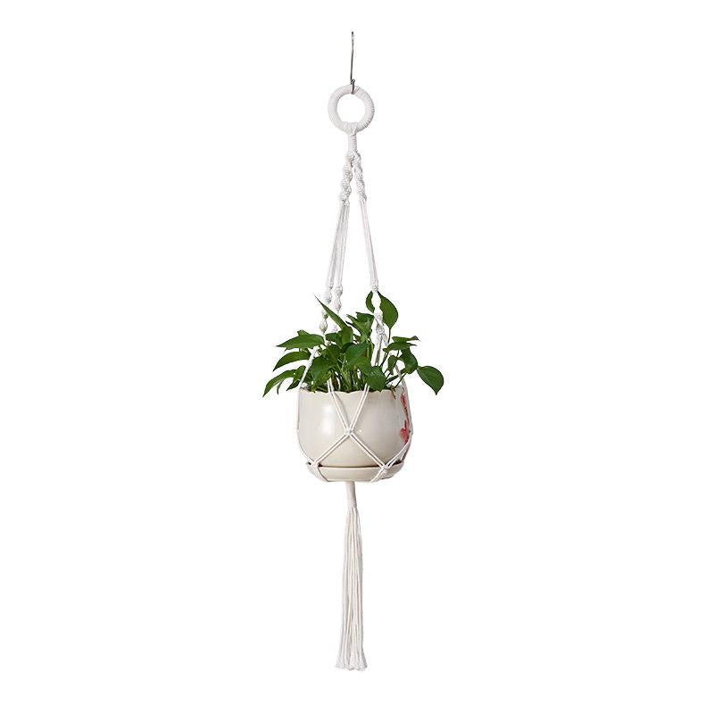 Pendurador decorativo de vidros vegetais - PlantLar™