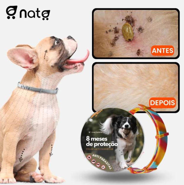 Colar SafePet Anti Pulgas e Carrapatos [8 meses de proteção] | Acessórios para Pets