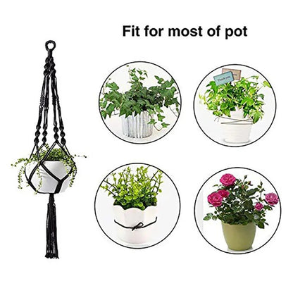 Pendurador decorativo de vidros vegetais - PlantLar™